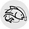 Pêche